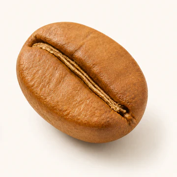 دانه قهوه با رُست روشن